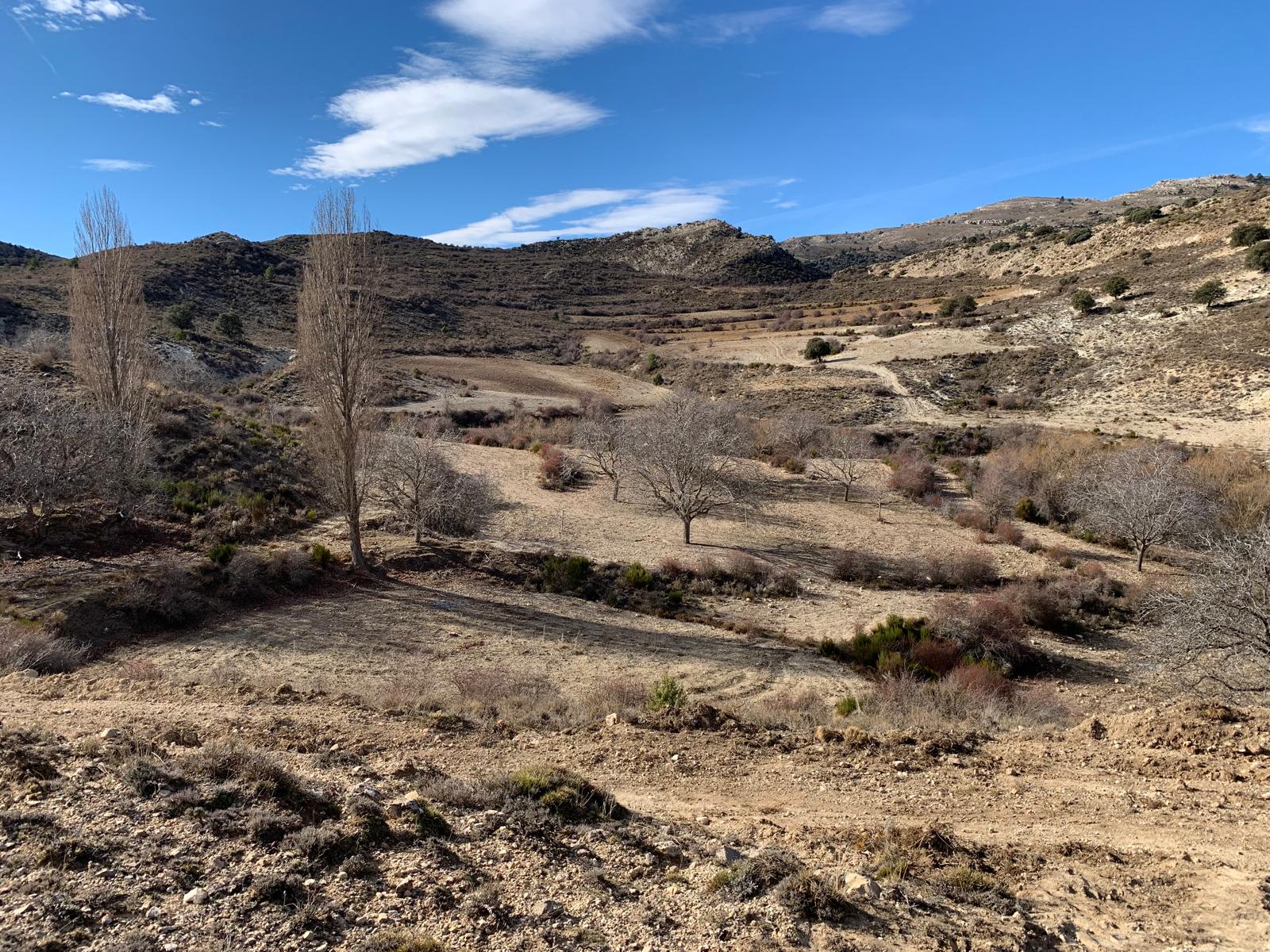 WhatsApp Image 2025 01 09 at 22.04.28 (6)