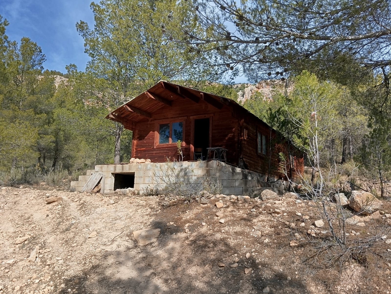 WhatsApp Image 2025 01 27 at 11.19.51