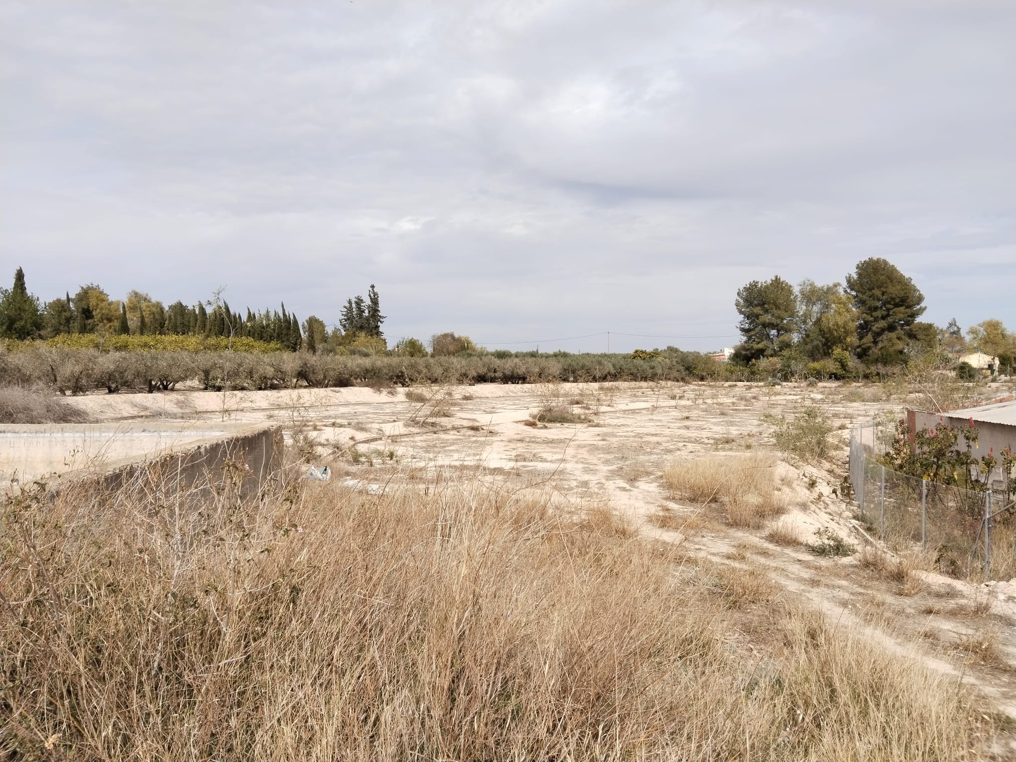 WhatsApp Image 2025 03 10 at 17.15.26 (3)