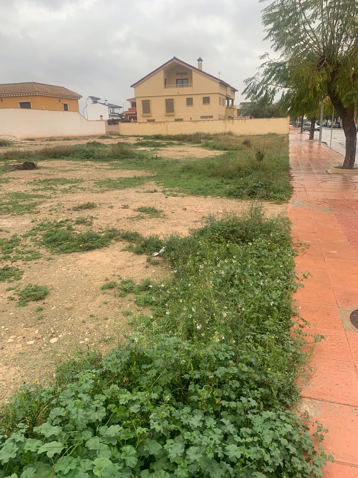 WhatsApp Image 2025 04 17 at 20.57.40 (3)